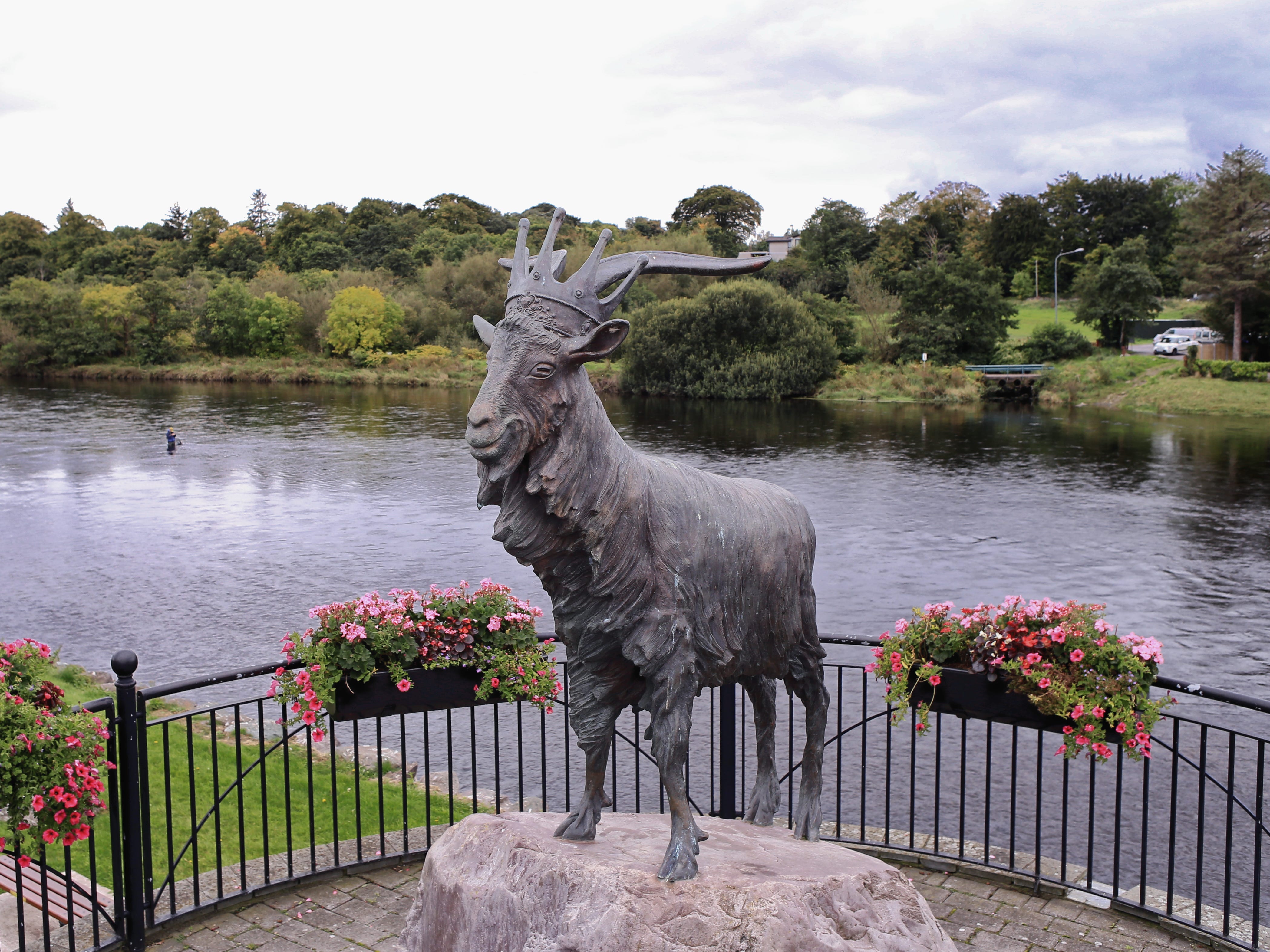 A statue of a goat wearing a crown surrounded by a black fence with pink flowers in boxes in front of a body of water.