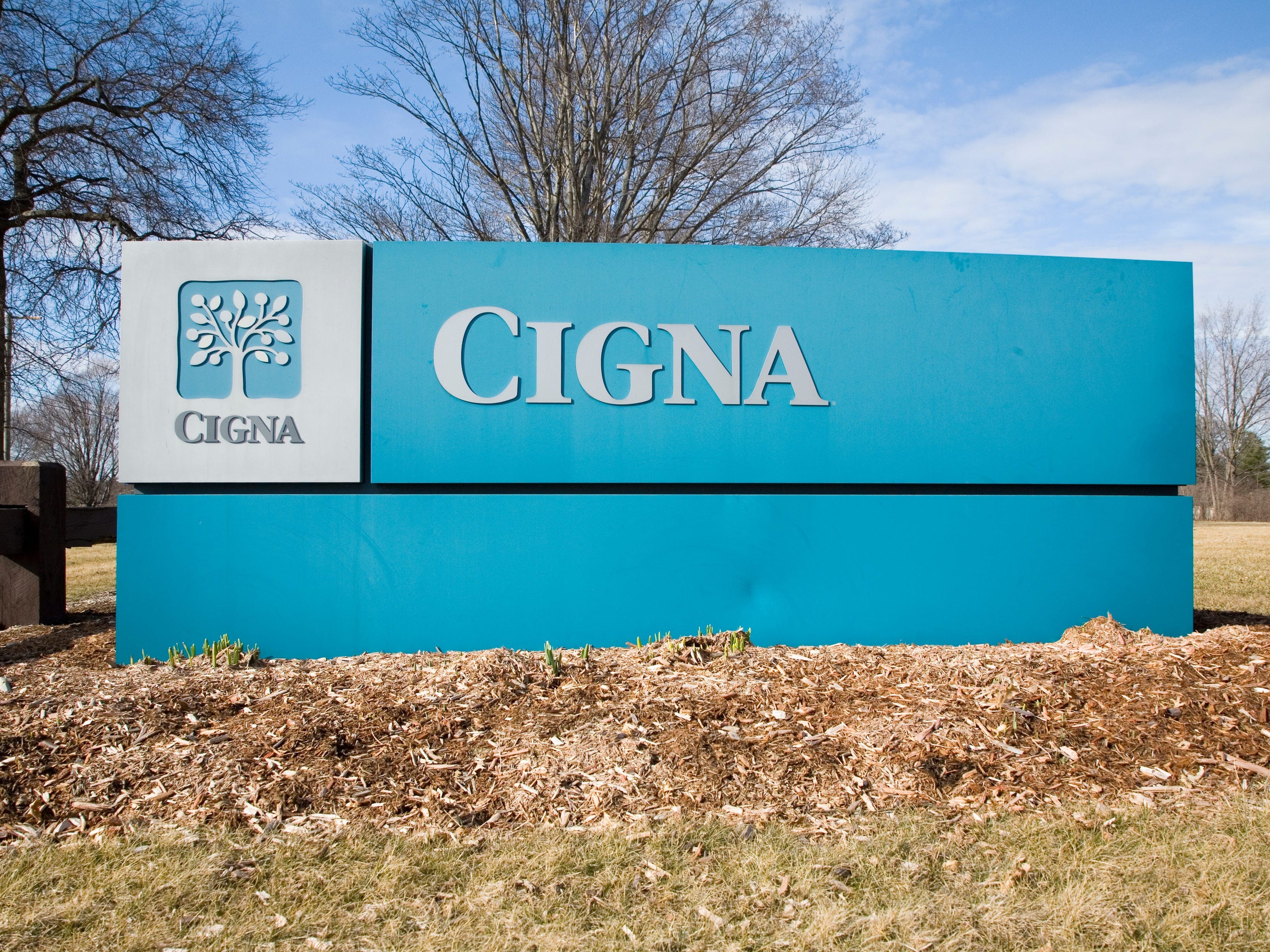 Cigna insurance
