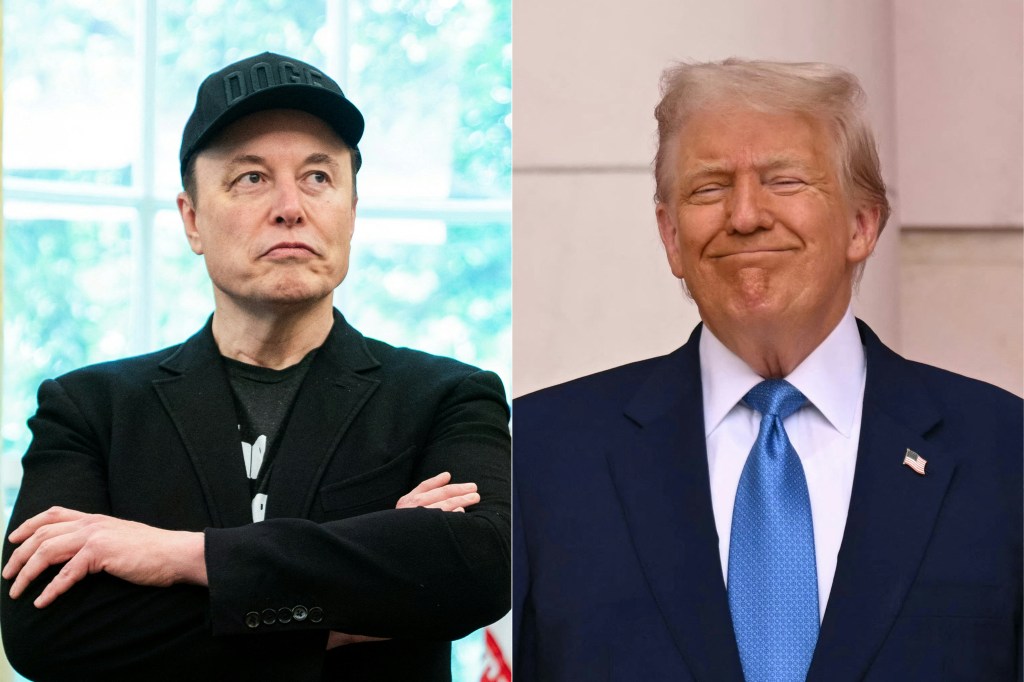 Elon Musk and Donald Trump