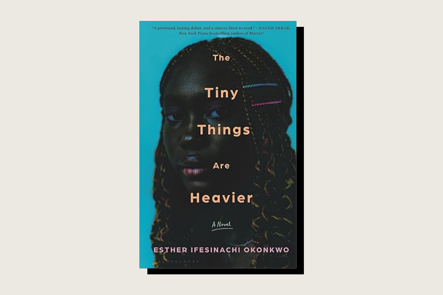the book cover for The Tiny Things Are Heavier