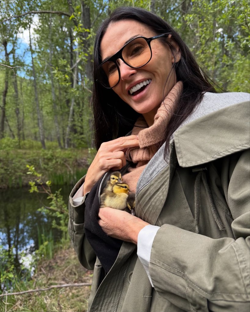 Demi Moore swaddles her new pets: three rescued mallard ducklings.