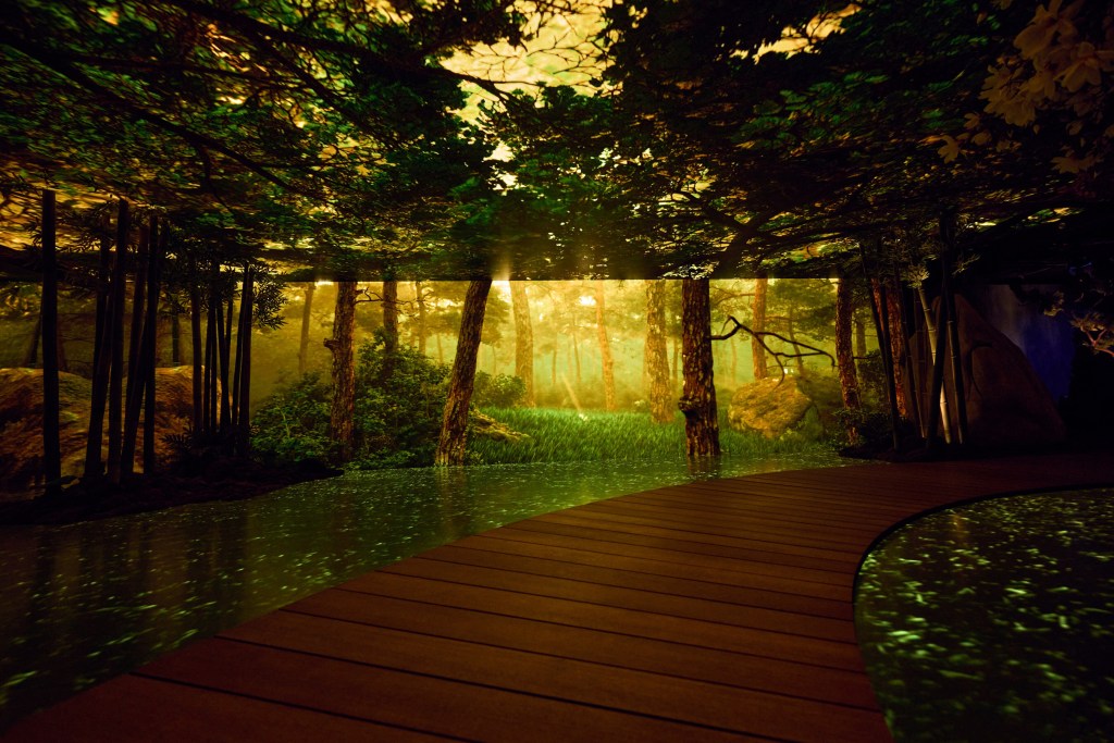 Wooden walkway leading into an immersive forest projection.