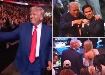 Trump arrives at UFC 316 to cheers of ‘USA!’ from packed crowd