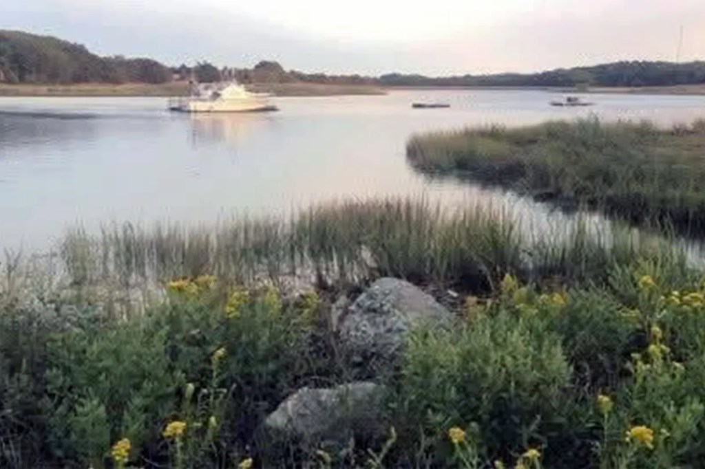 Calm river scene with boat and shoreline vegetation.
