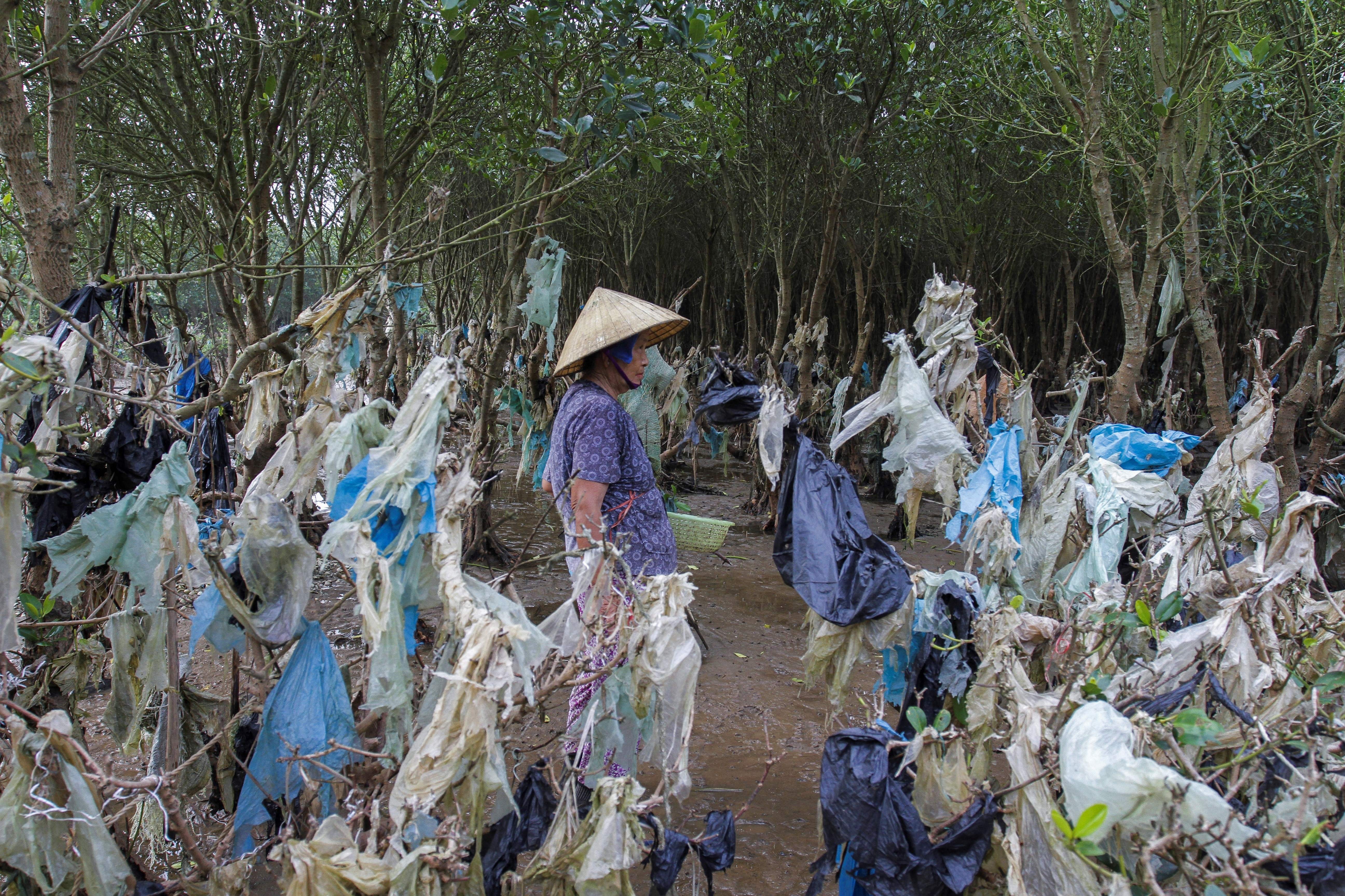 A woman walks past dozens of plastic bags caught in the branches of small coastal trees.