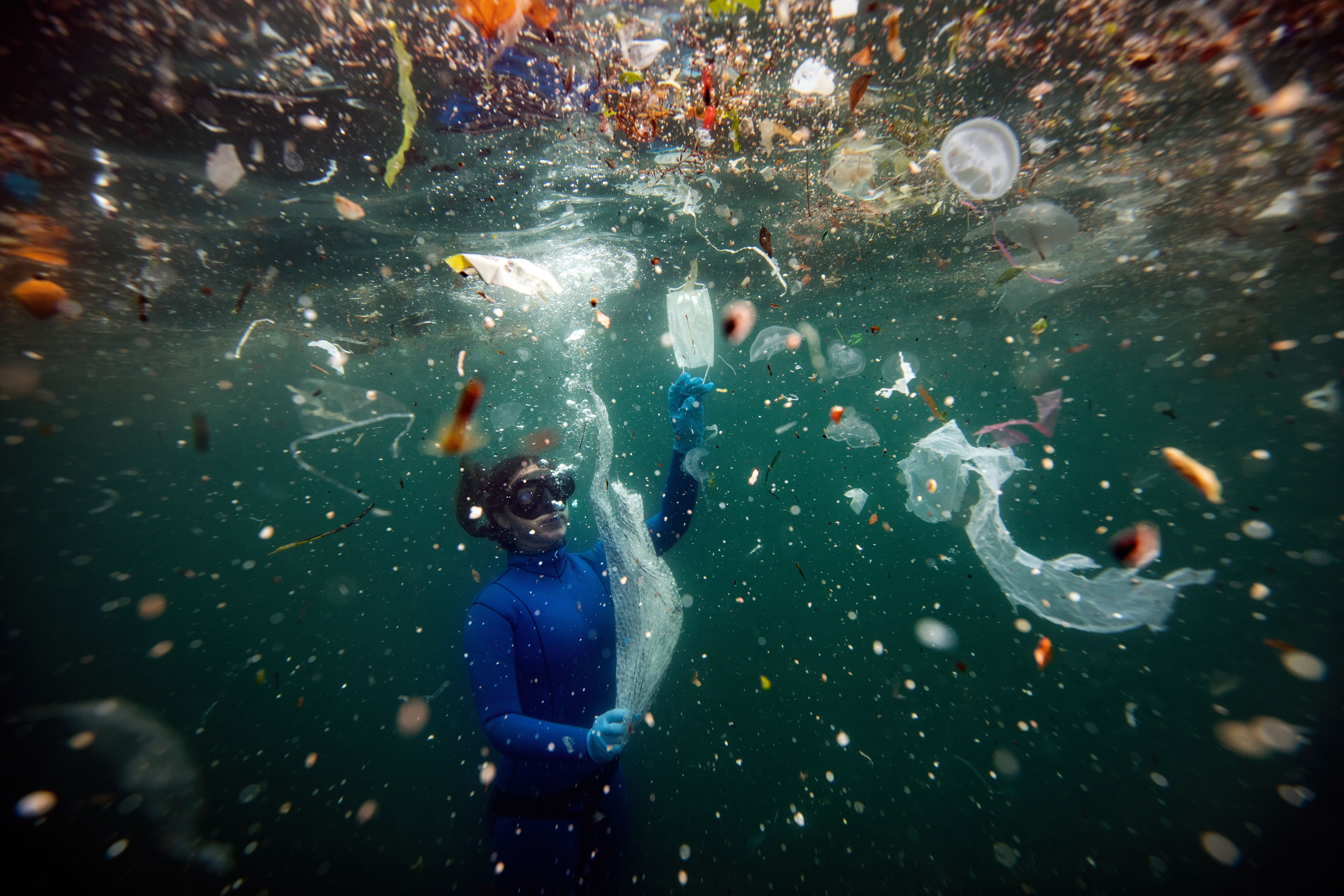A diver floats just below the surface, surrounded by pieces of debris and plastic garbage.