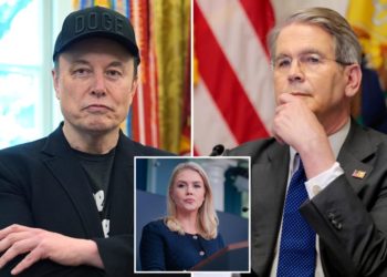WH press secretary brushes off reports Musk ‘body-checked’ Treasury chief: ‘Robust disagreement’