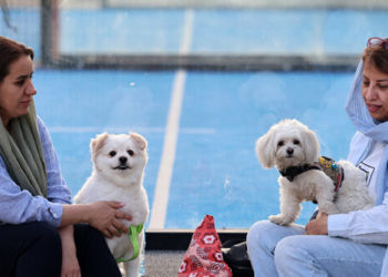 Iran Expands Ban on Walking Dogs as ‘Threat to Public Health, Peace, and Comfort’