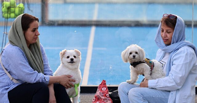 Iran Expands Ban on Walking Dogs as ‘Threat to Public Health, Peace, and Comfort’