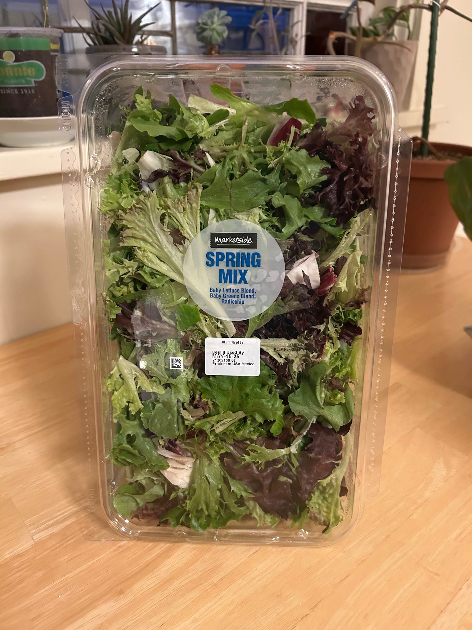 Spring mix in plastic container