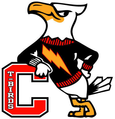 Connetquot High School logo: illustration of an eagle wearing a sweater with a lightning bolt.