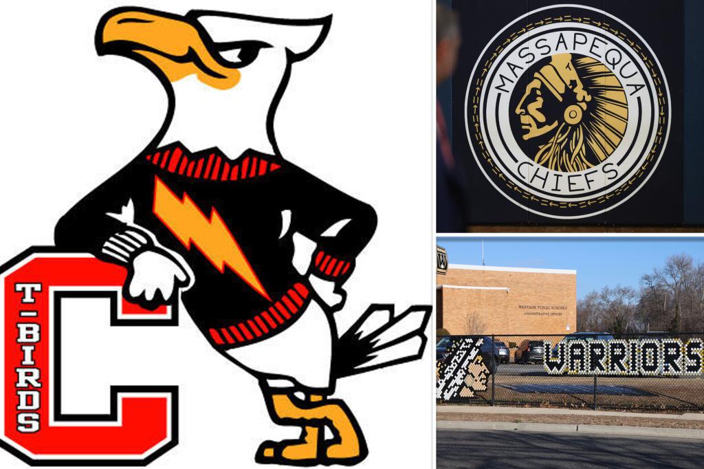 LI school to dish out $23M to replace its ‘Thunderbirds’ logo due to statewide ban — despite lawsuit to keep it