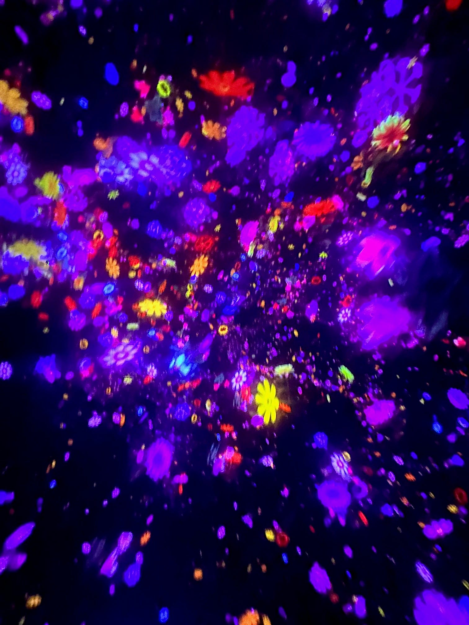 Drawing projections at TeamLab Tokyo