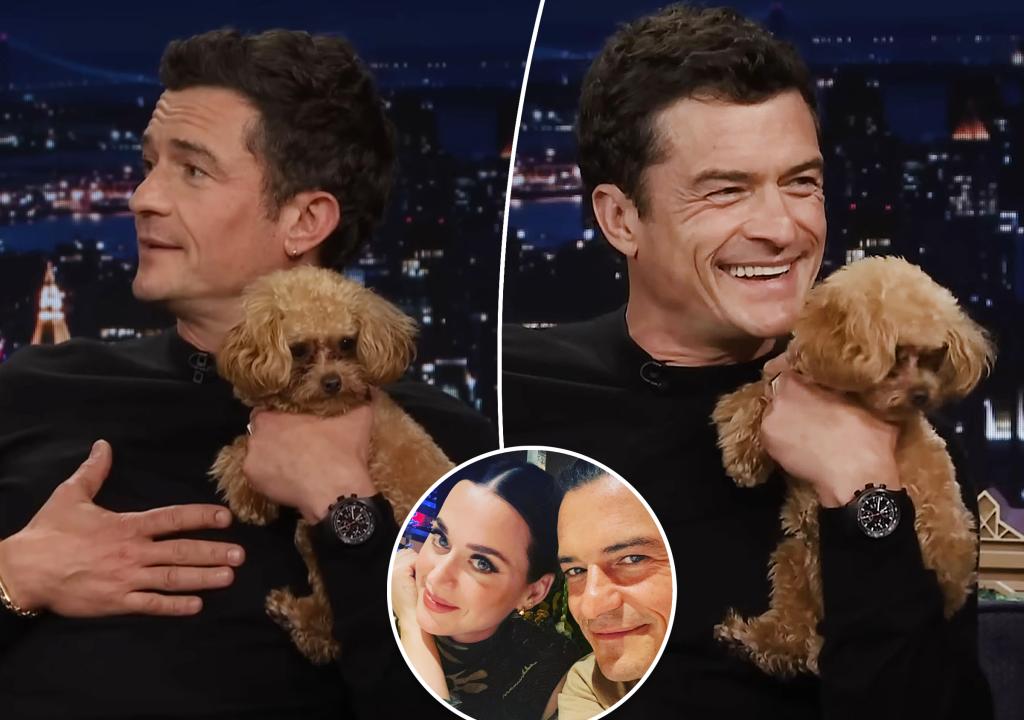 Orlando Bloom brings ‘emotional support’ dog to ‘Tonight Show’ amid Katy Perry relationship woes