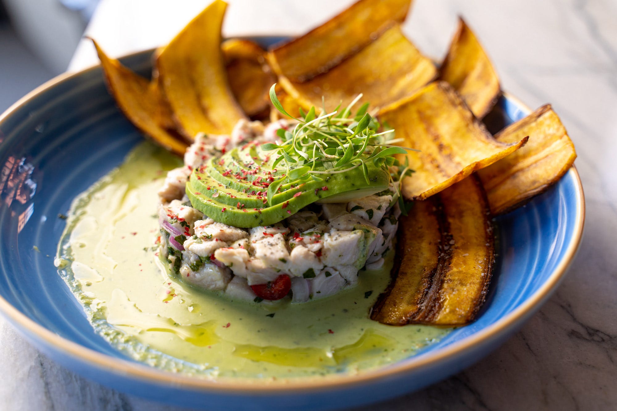 Ceviche from Herb & Sea