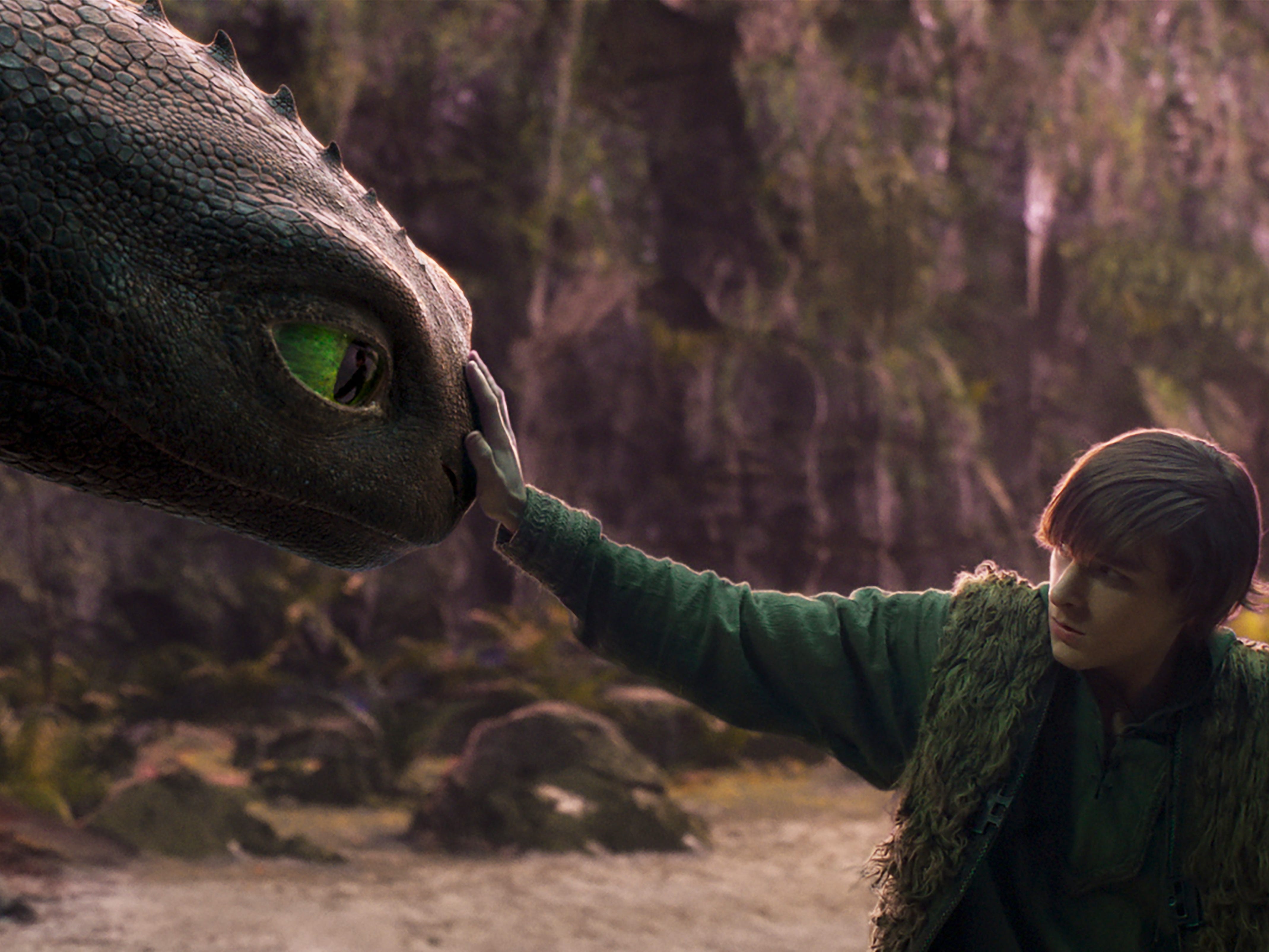 A still from "How to Train Your Dragon" live-action reboot showing Mason Thames touching a computer-generated dragon.
