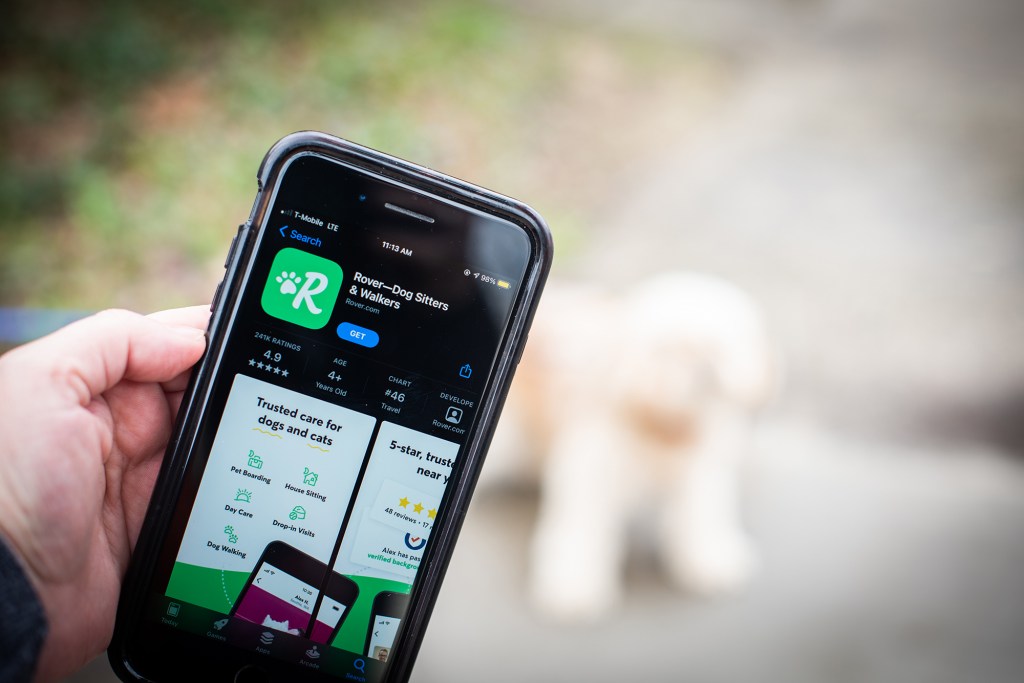 Smartphone displaying the Rover app for dog sitters and walkers.