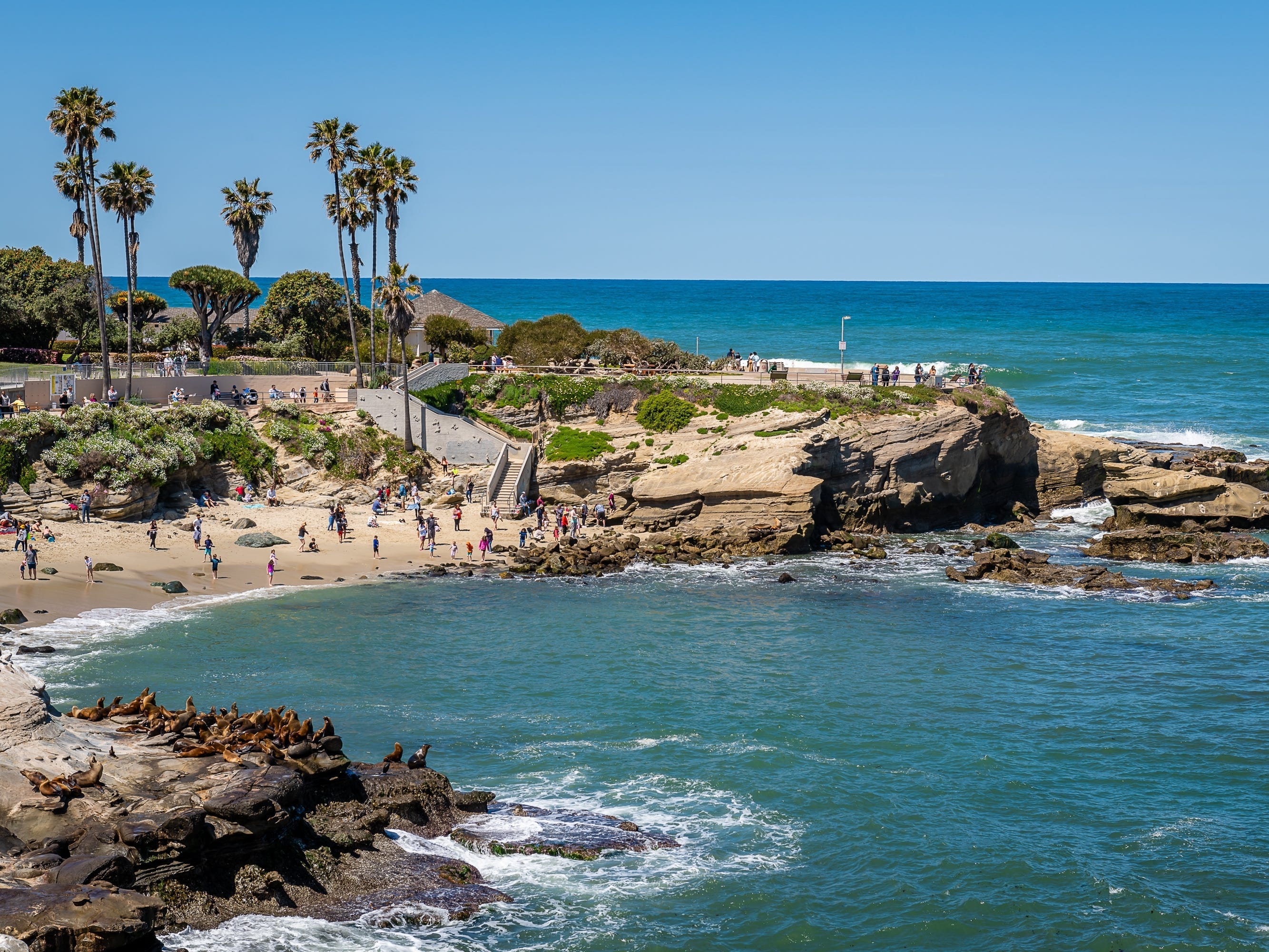 An aerial view of La Jolla Cove in San Diego.