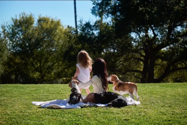 Meghan Markle with her daughter and dogs. 