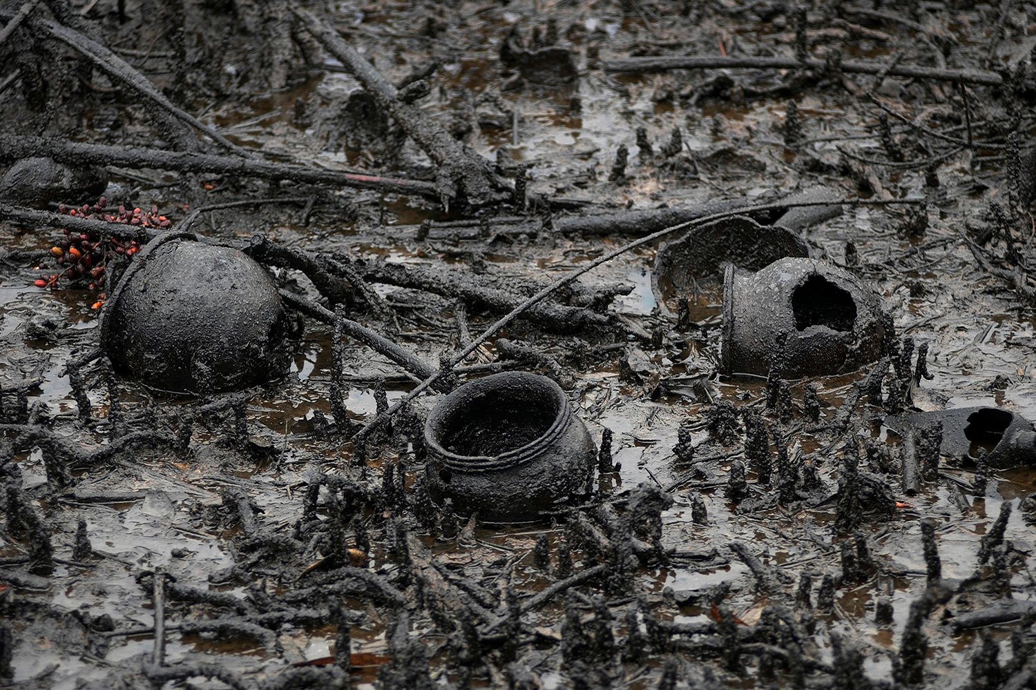 Clay pots are all that remain in a mangrove covered with crude oil.