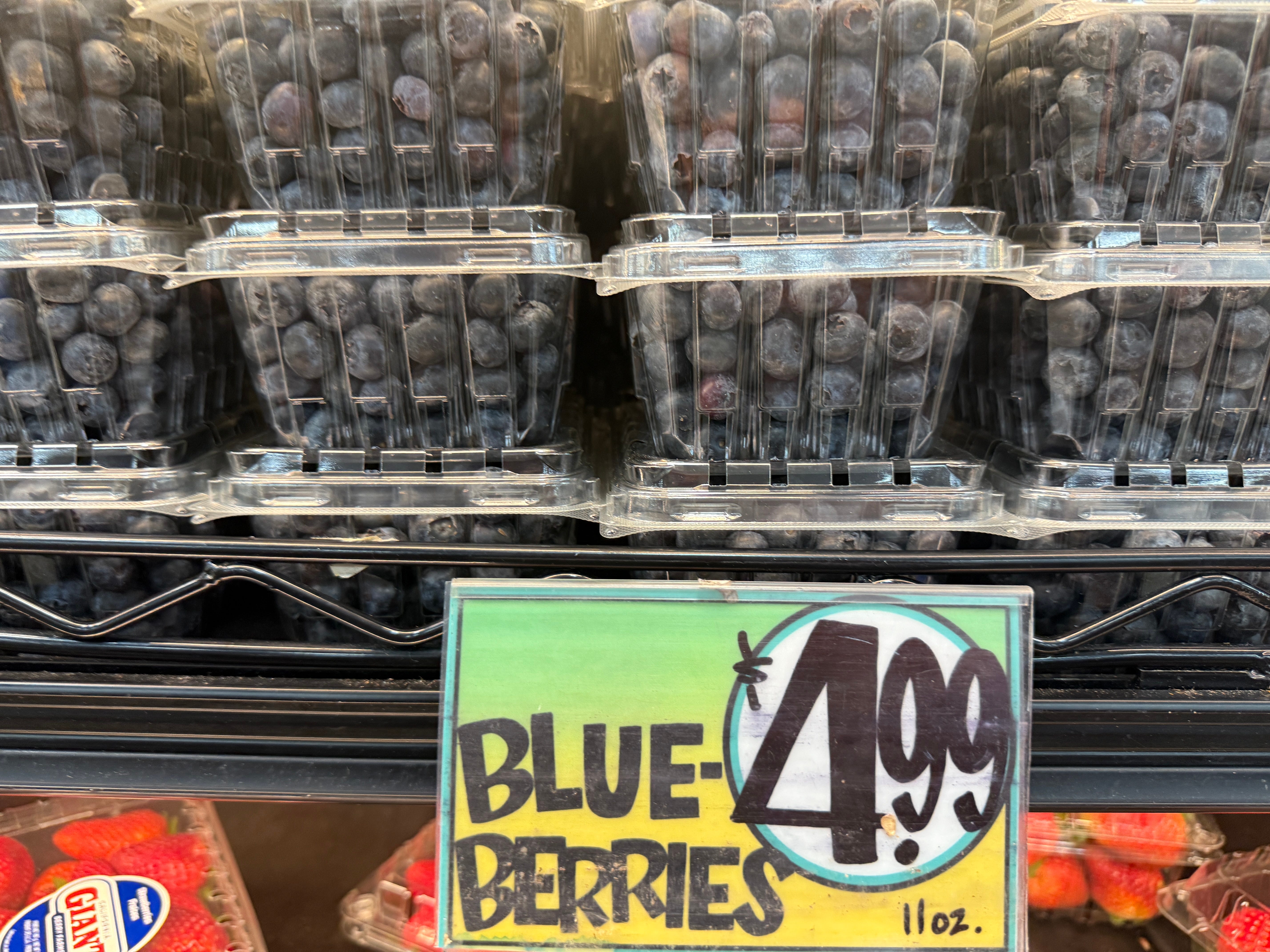 A display of blueberries at Trader Joe's.