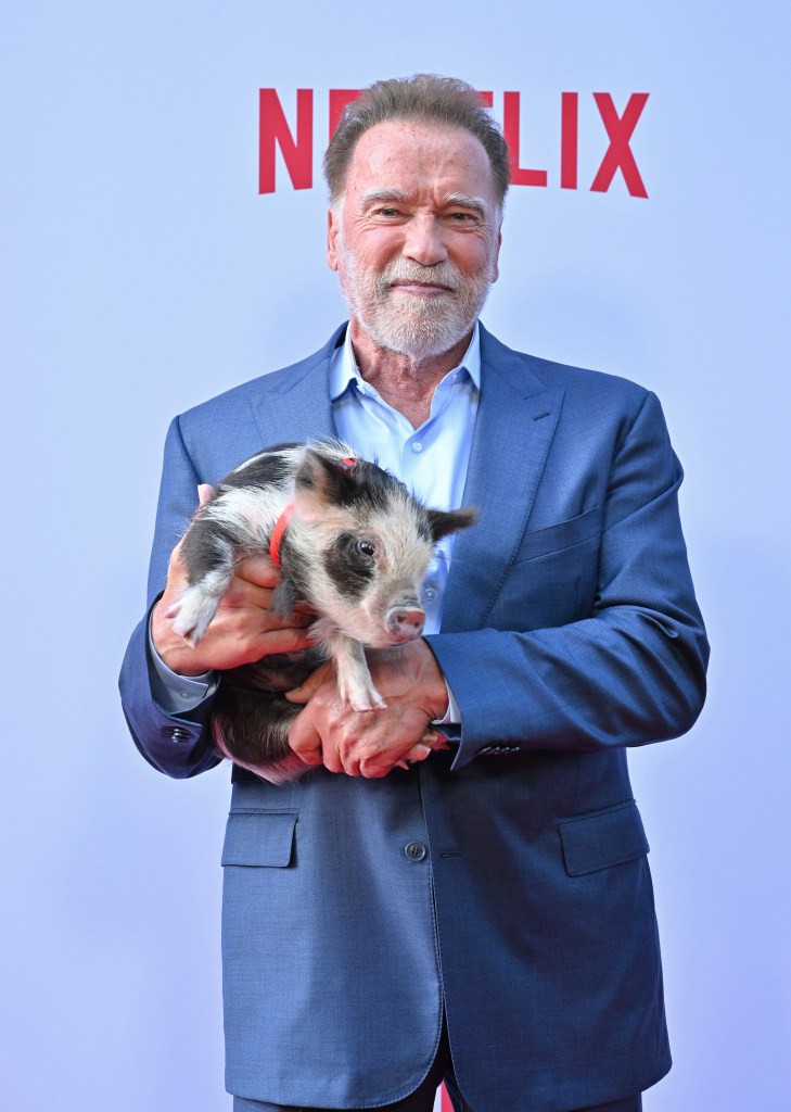 Arnold Schwarzenegger lets his pig pal hog the spotlight at the LA premiere of Season 2 of his Netflix show “FUBAR.”
