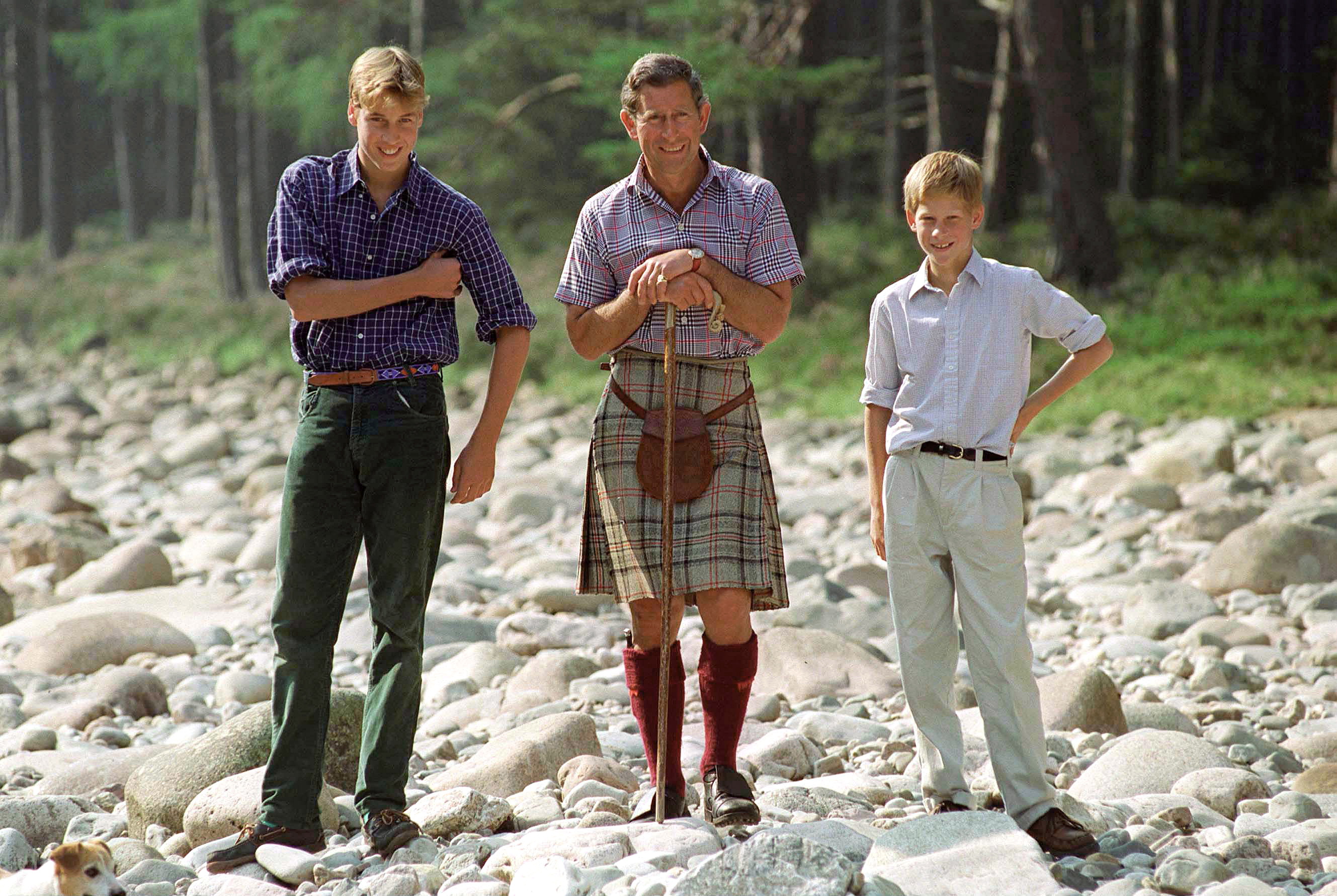 Prince Harry, Prince William and King Charles 