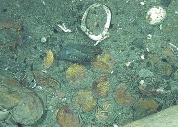 New images reveal treasures aboard ‘holy grail’ shipwreck