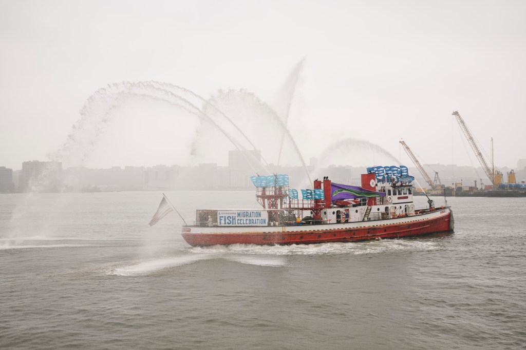 One of the boats traveling up the Hudson River for the migration.