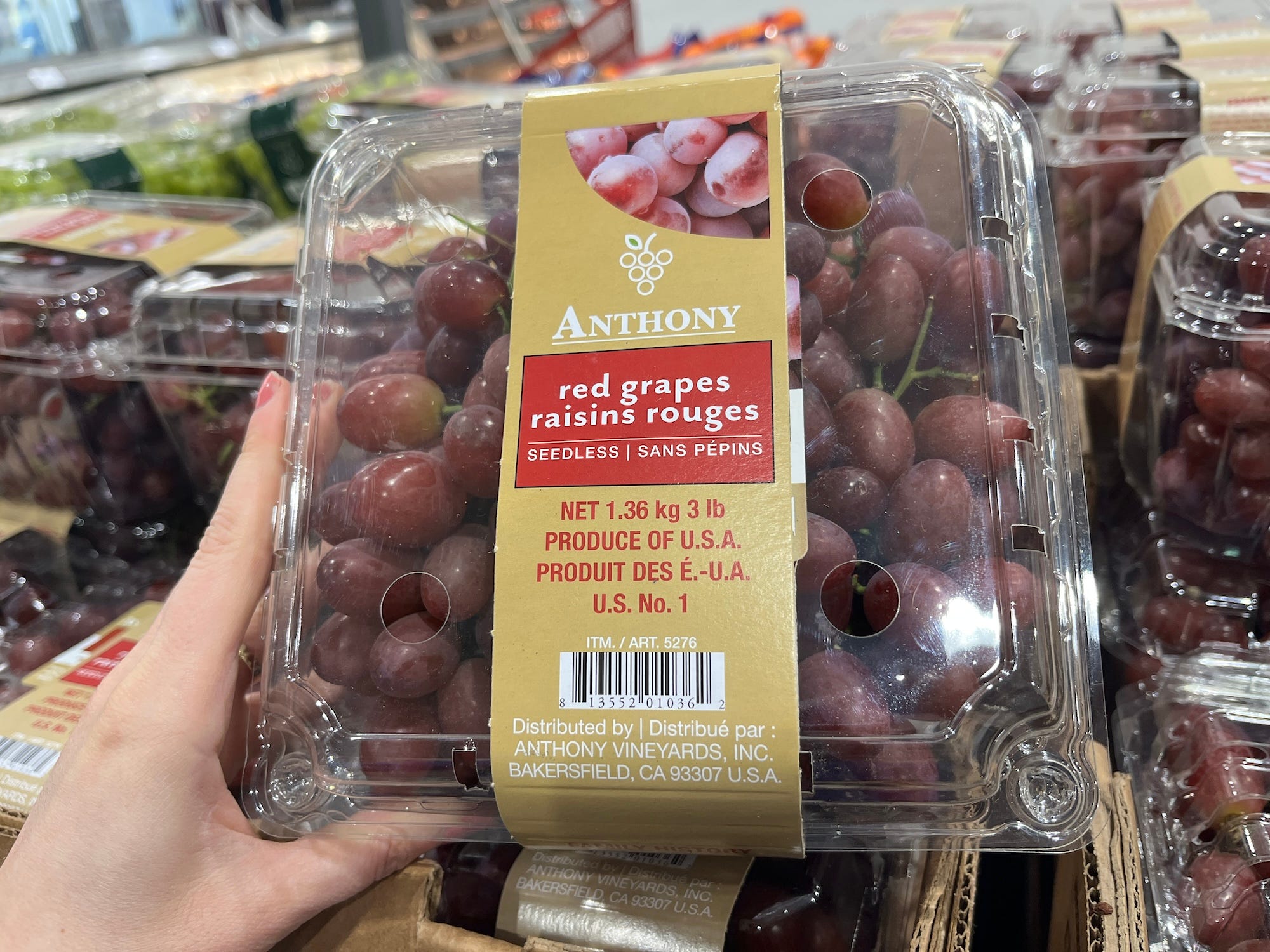 Red grapes at Costco.