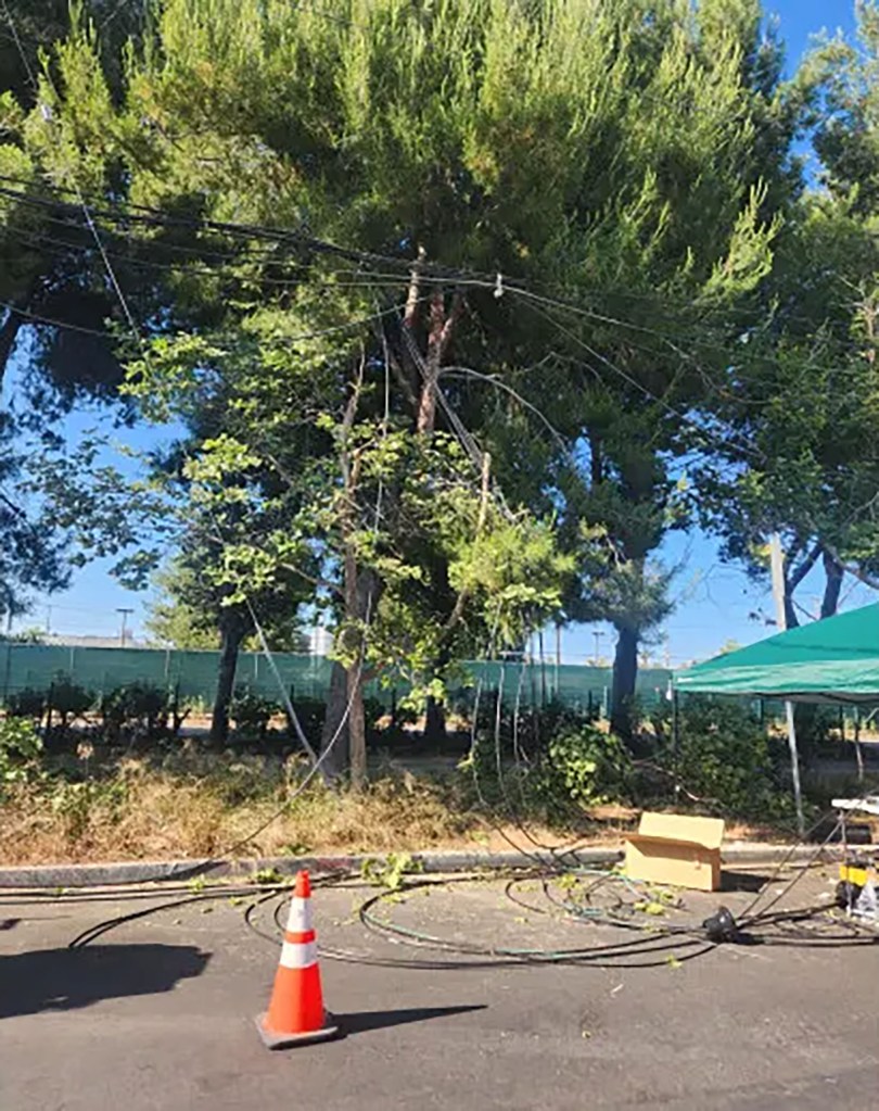 Cut fiber optic cables on the ground near trees and a traffic cone.