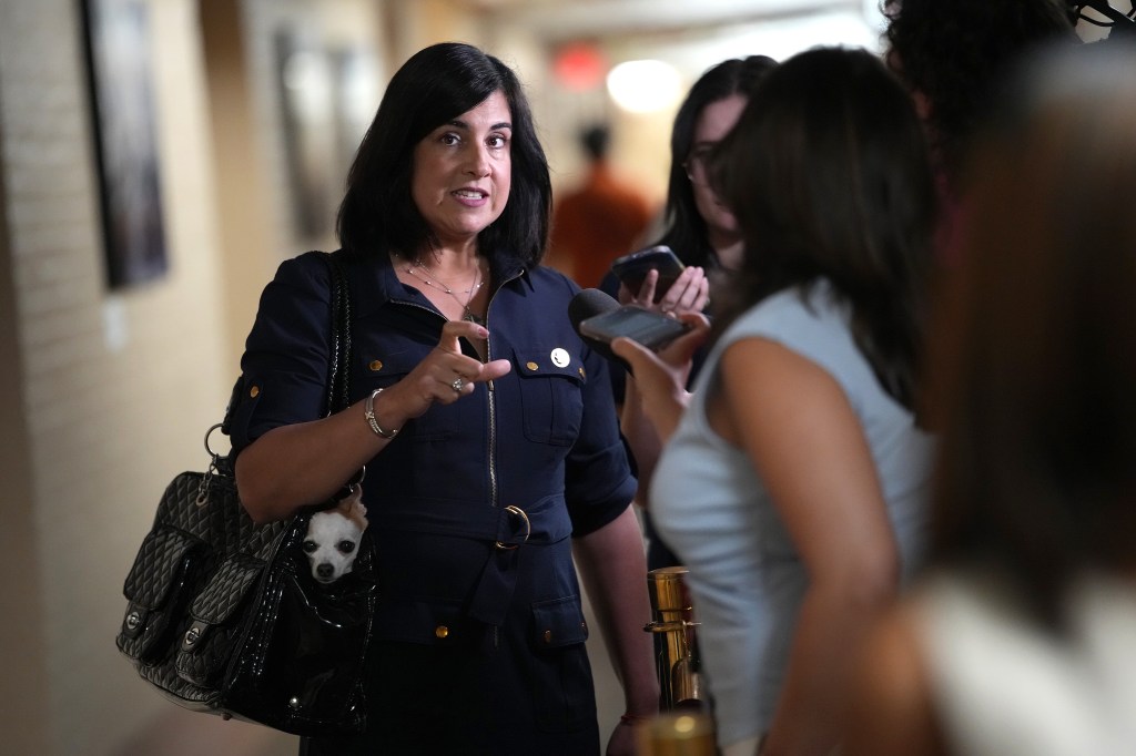 Rep. Nicole Malliotakis speaking to reporters.