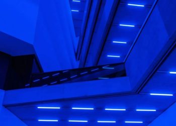 Steve McQueen’s ‘Bass’ Strips Down Cinema and Lays Its Bones Bare