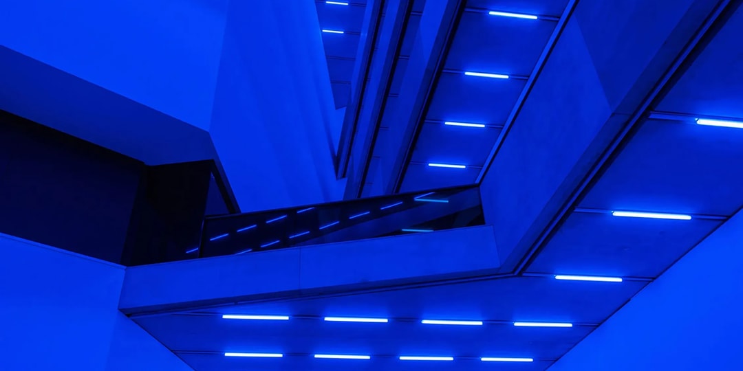 Steve McQueen’s ‘Bass’ Strips Down Cinema and Lays Its Bones Bare