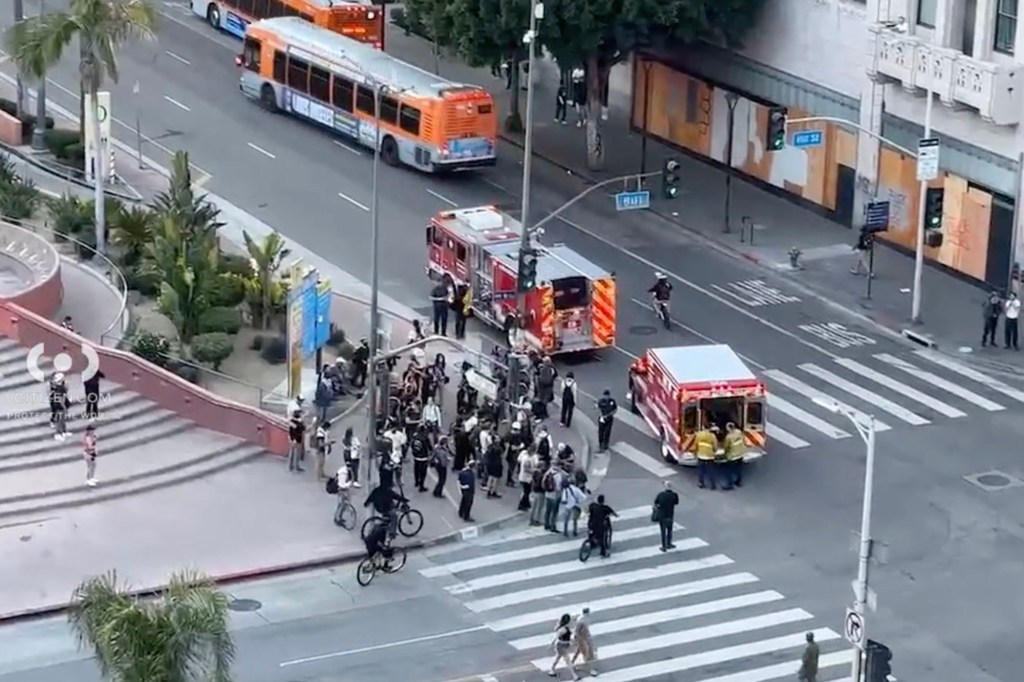 Los Angeles Protest Hit and Run 