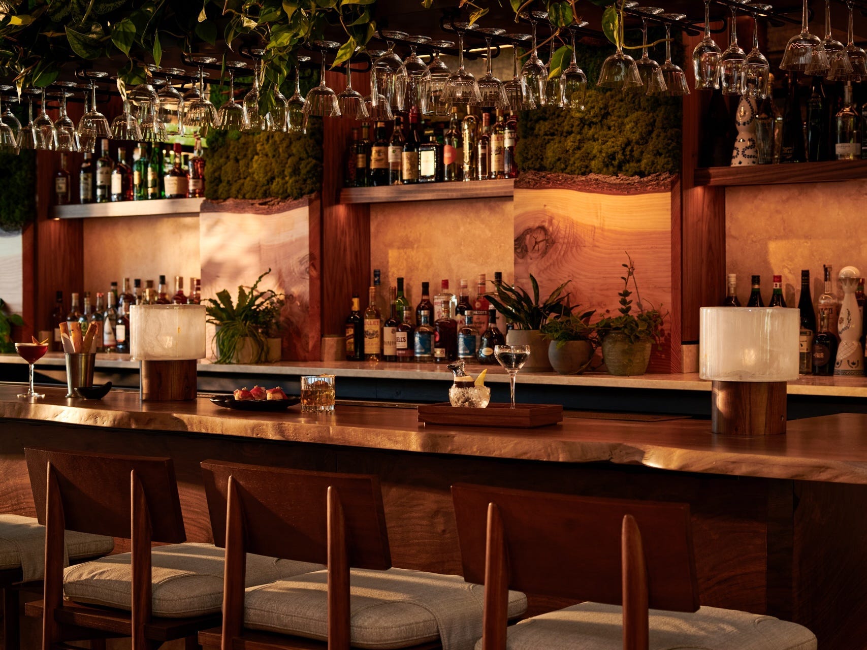A dimly lit empty bar with plants on the walls and ceiling