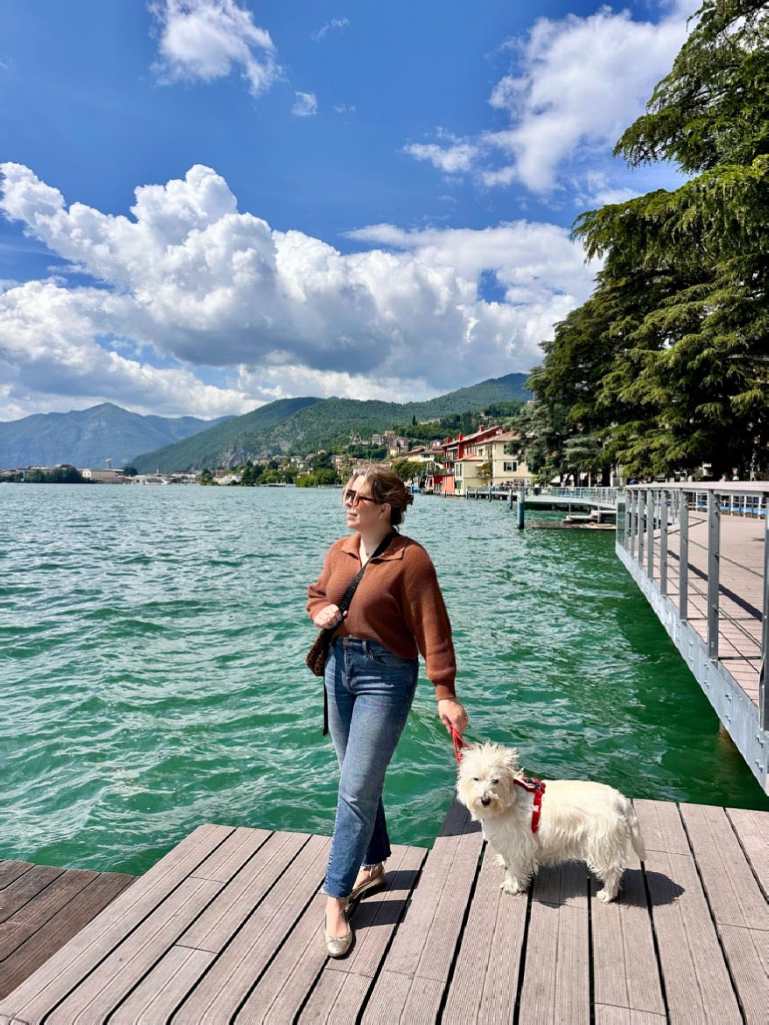 A woman and a dog standing on a pier.