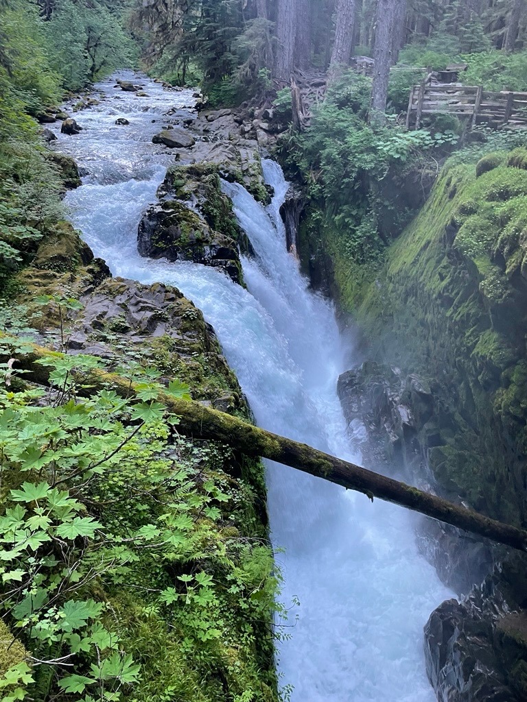 The Sol Duc Falls in Olympic National Park in Washington state.