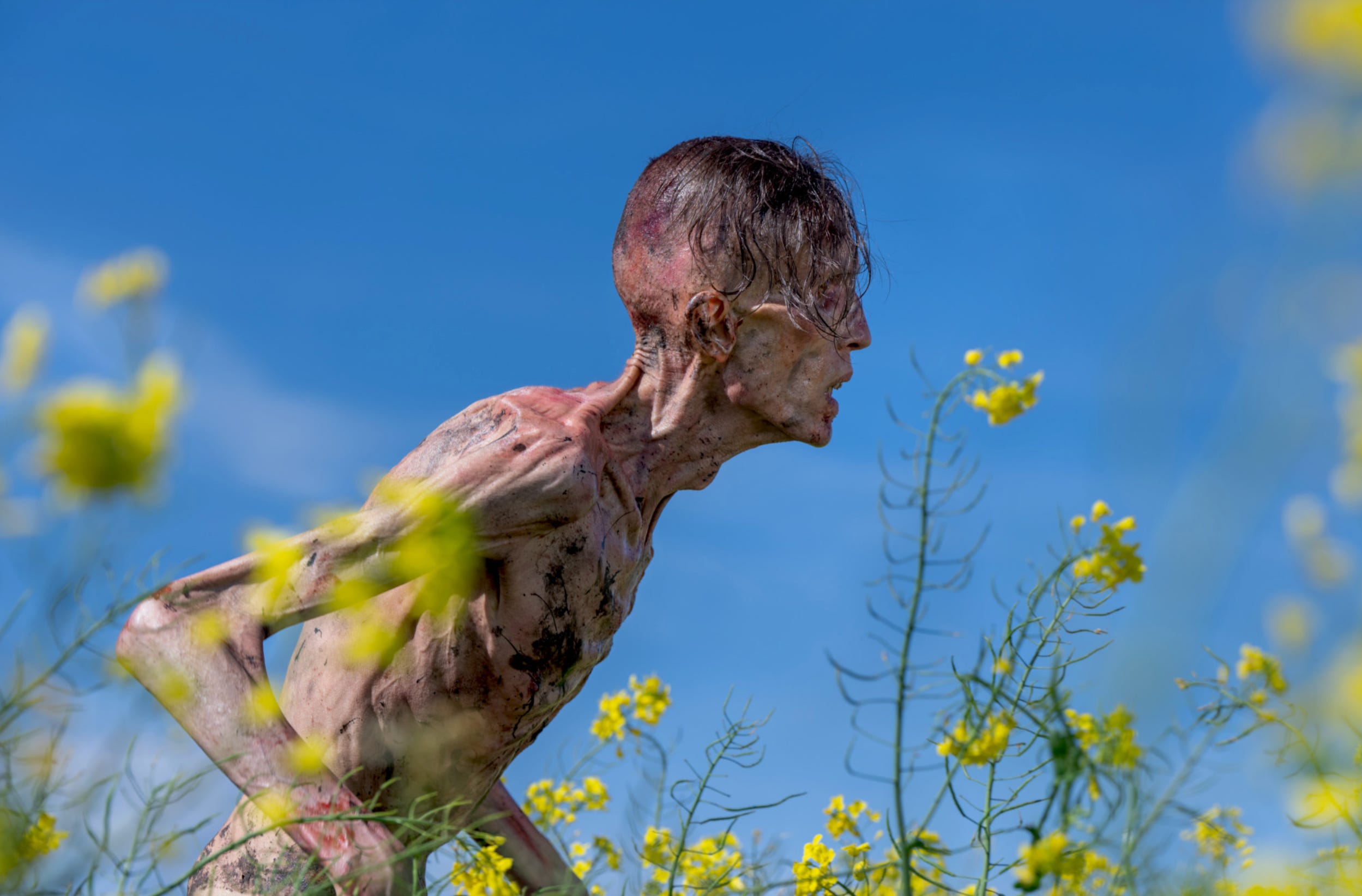An emaciated man with stringy black hair walks through a field of yellow flowers.