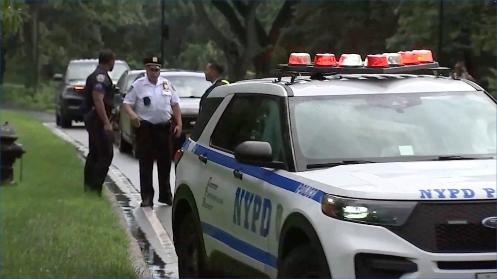 Yassin Khalifa was seriously injured after getting struck by lightning in Central Park on Thursday.