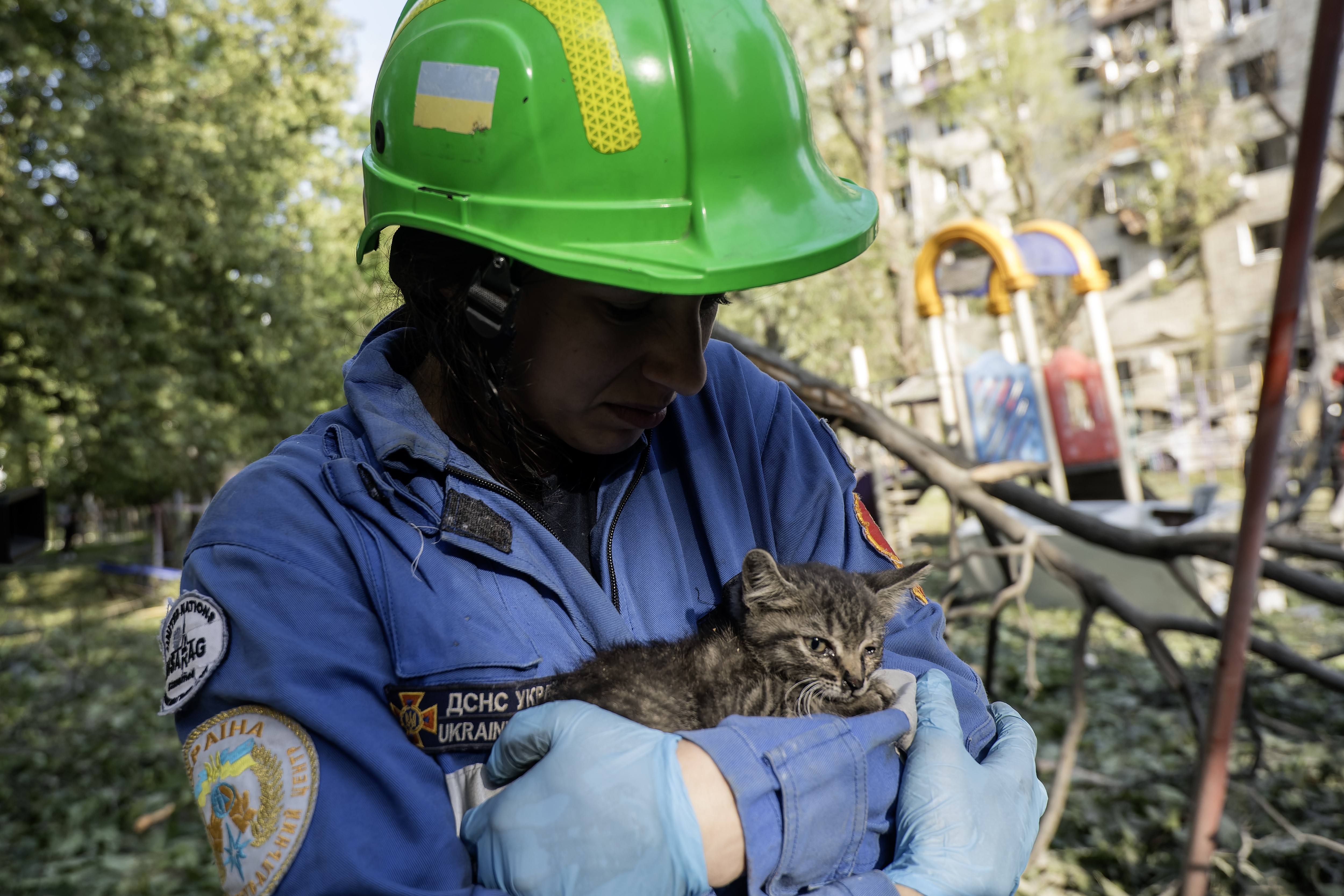 A rescue worker carries an injured kitten at the site of a missile strike.