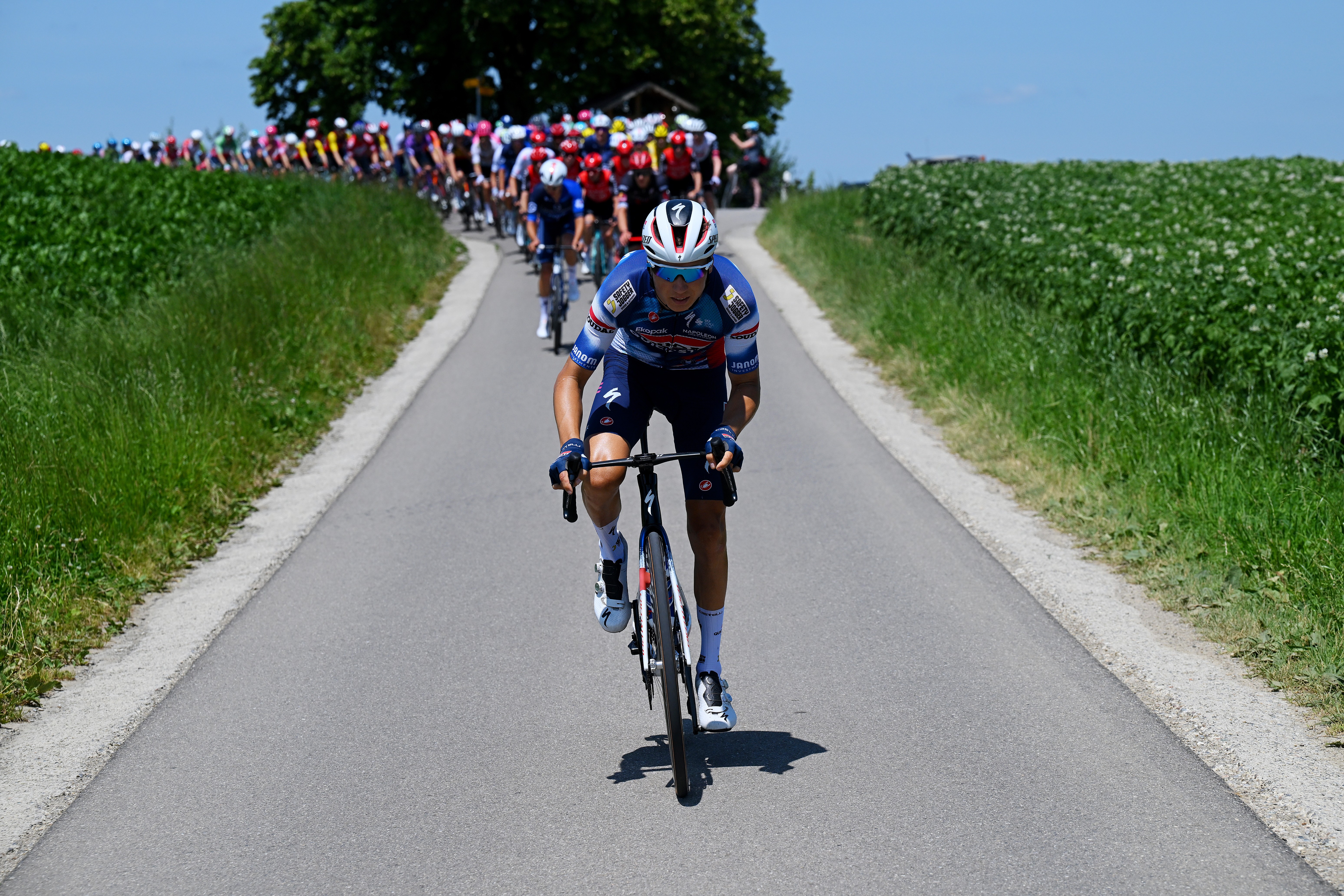 A pack of cyclists rides down a narrow lane among farm fields during a race.