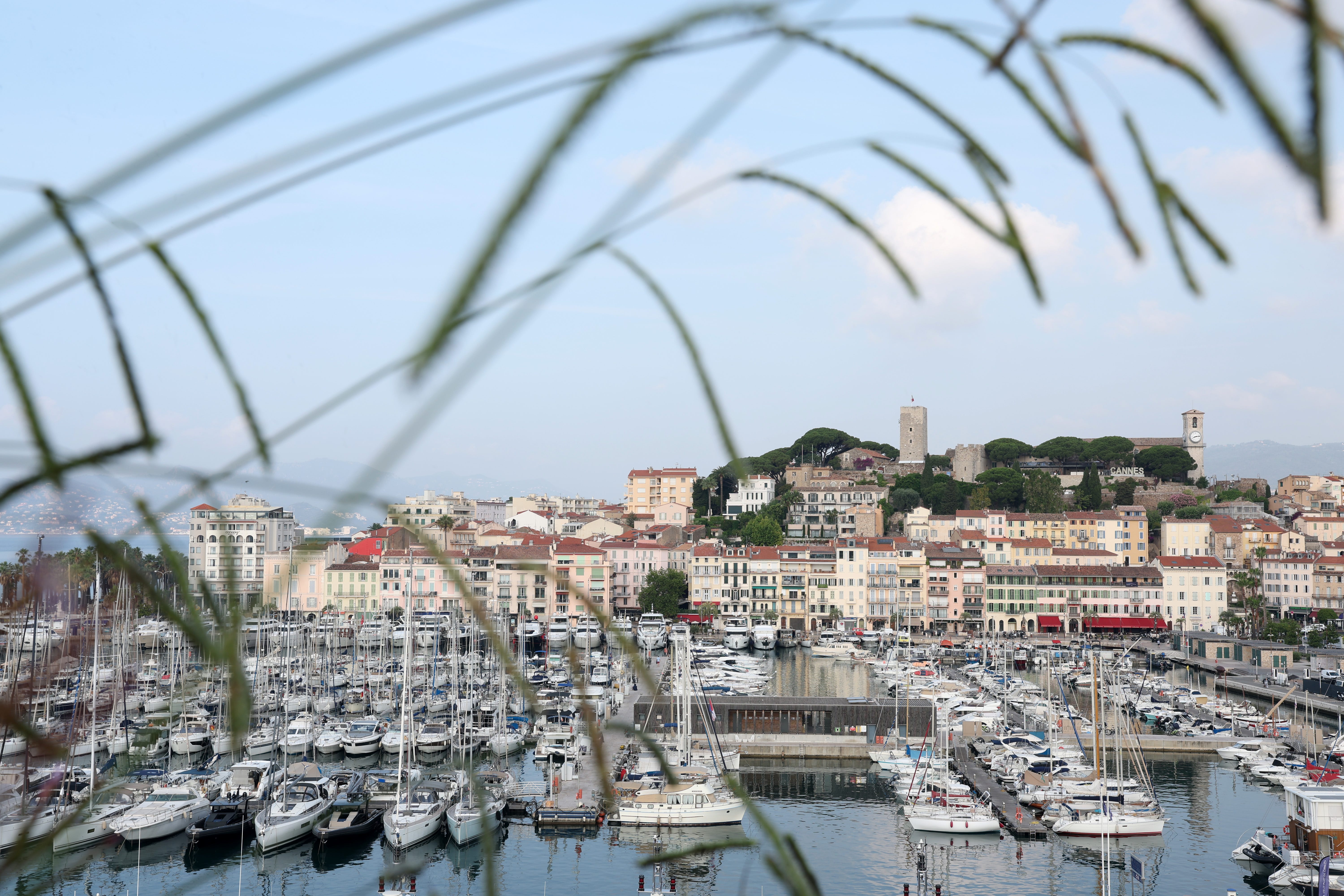 Cannes harbor