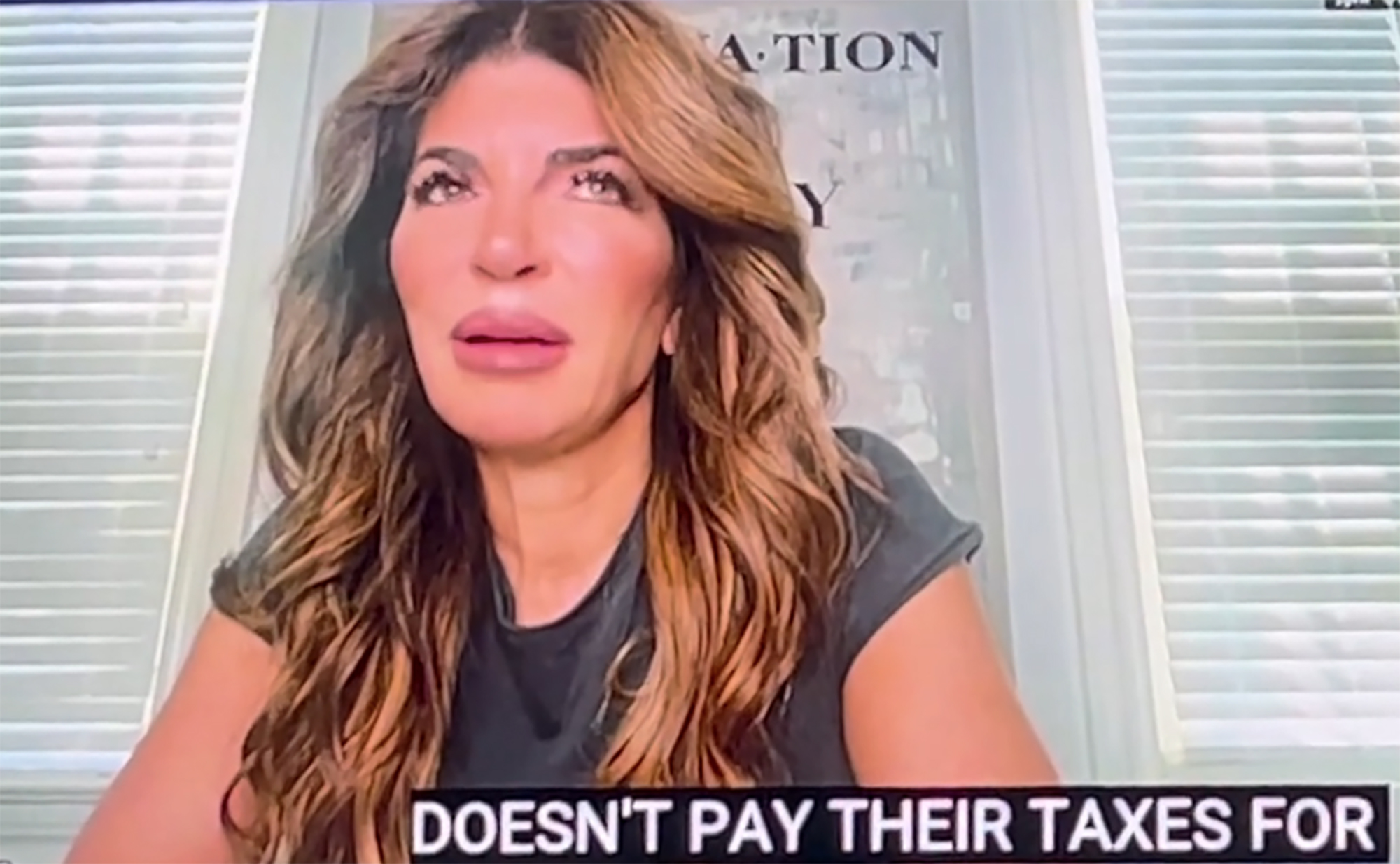Teresa Giudice on a zoom call. 