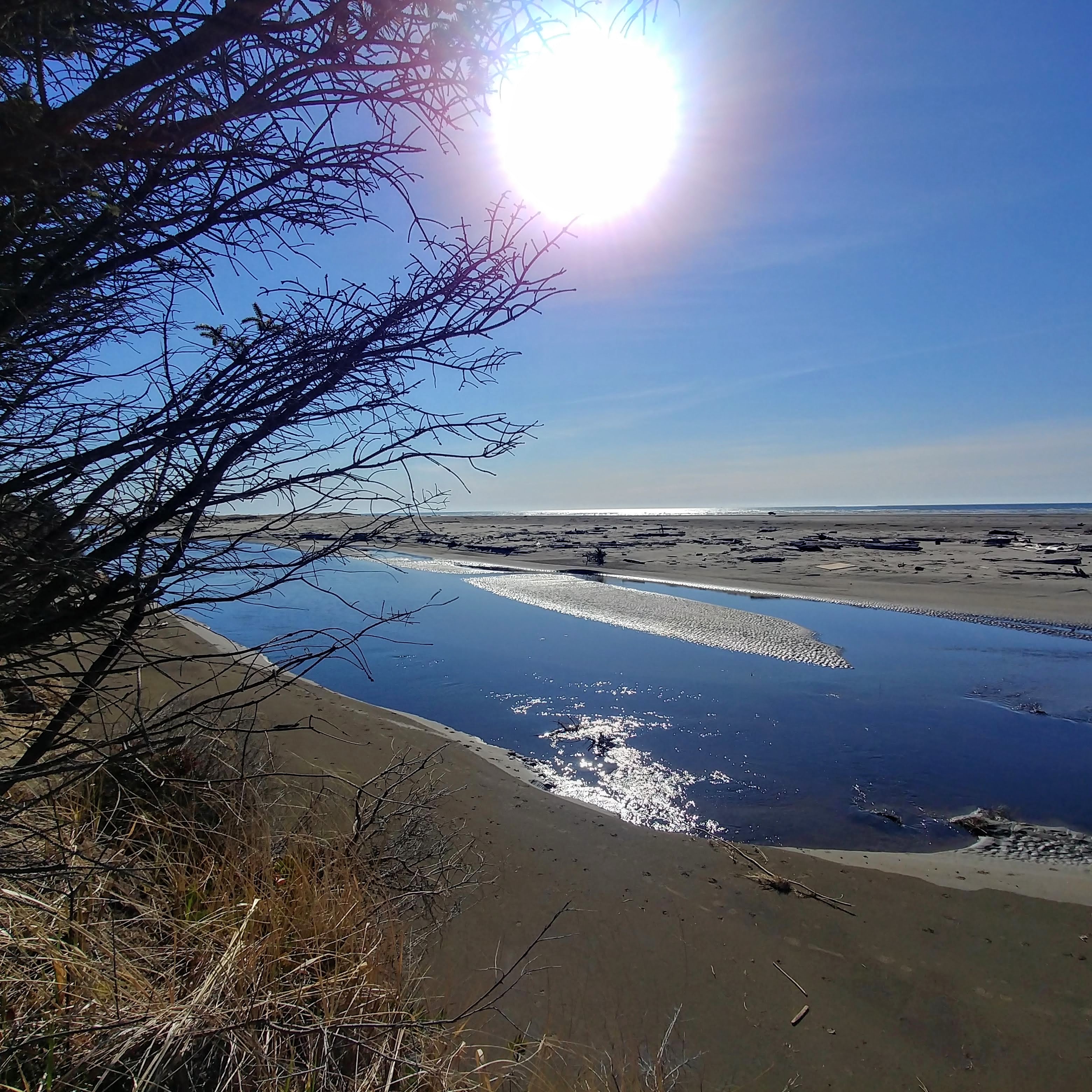 Image of a beach