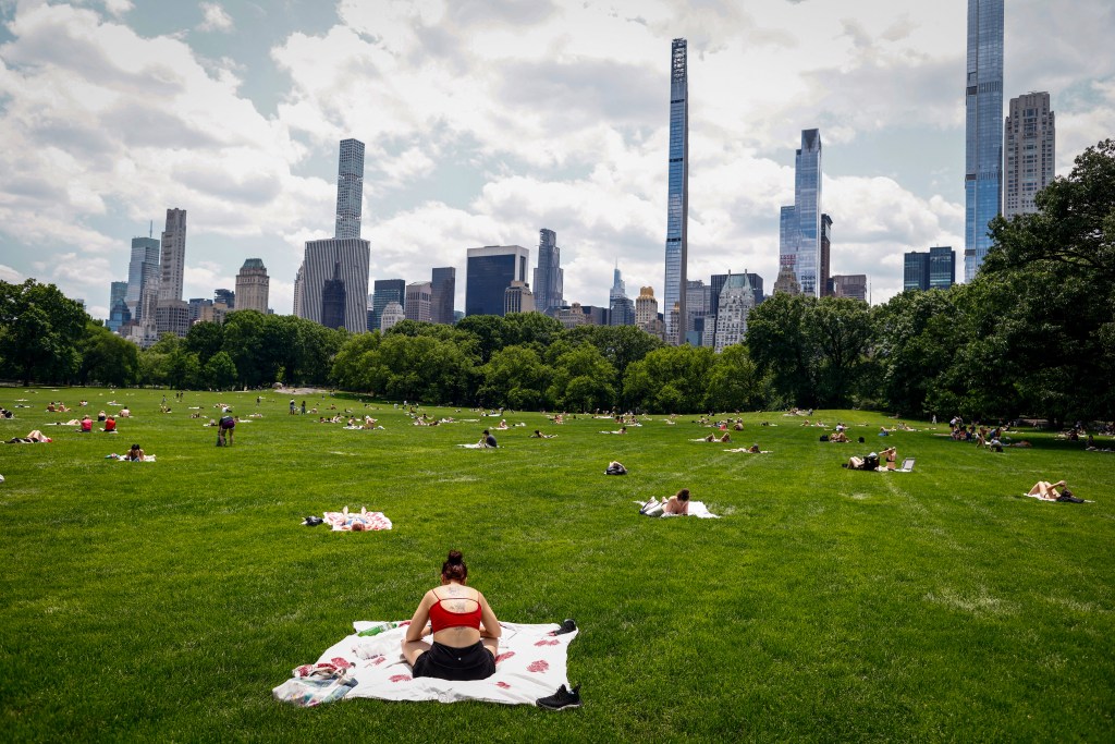 People sunbathing in Central Park with skyline in the background.
