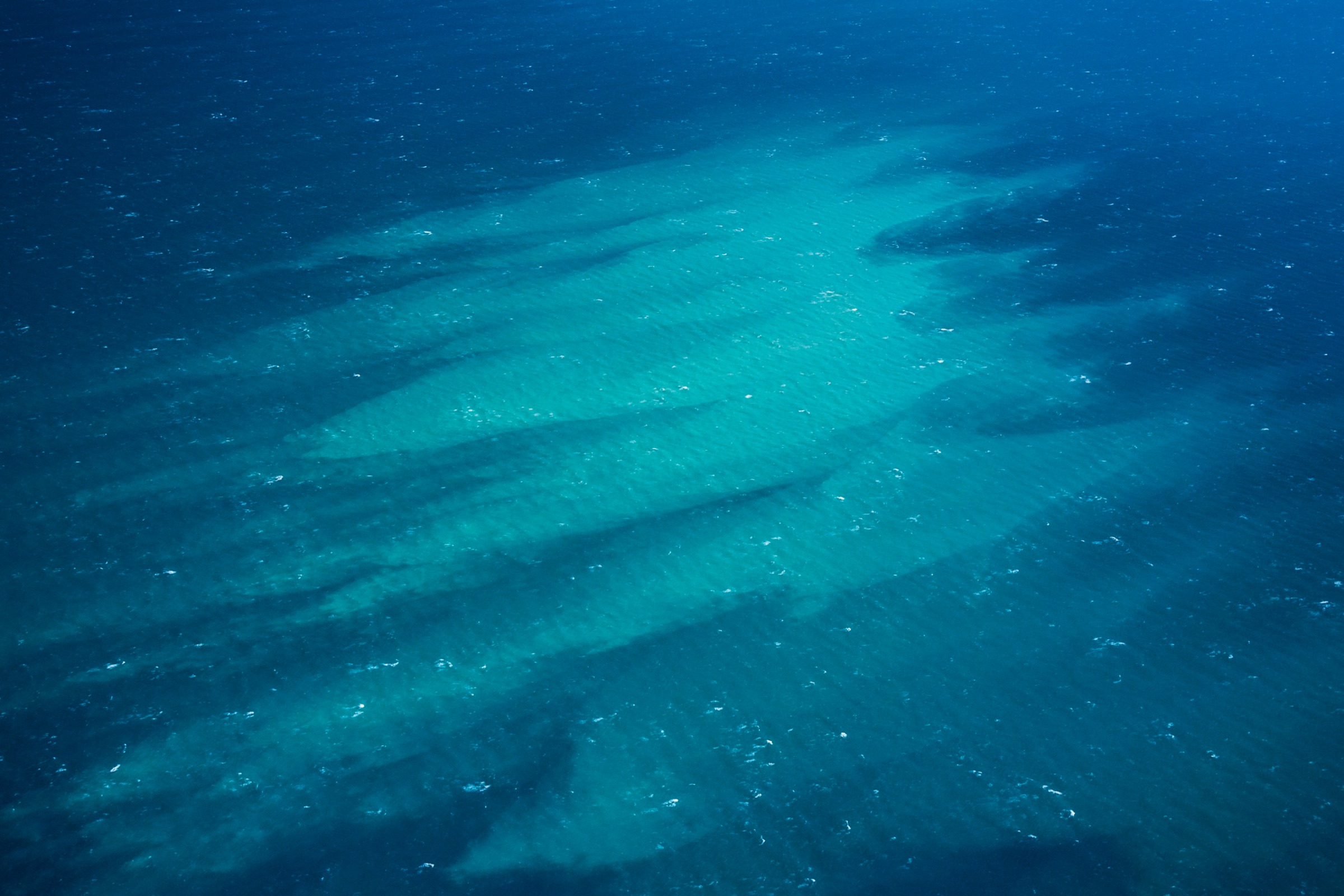 phytoplankton bloom in the ocean could benefit from mCDR