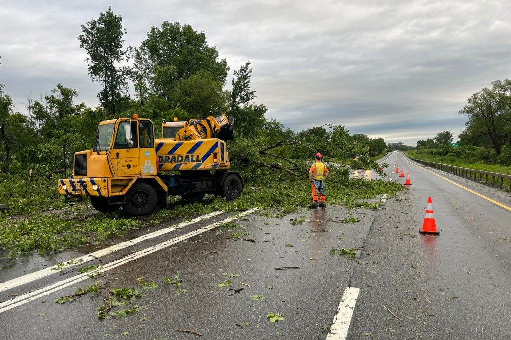 Road cleanup crew removing fallen tree branches from highway.