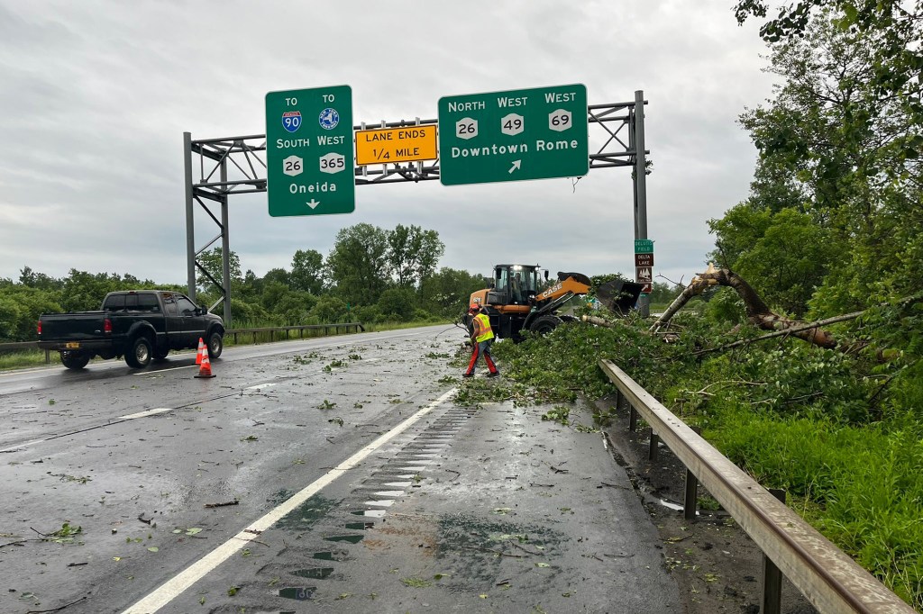 A fallen tree on a road near Utica.