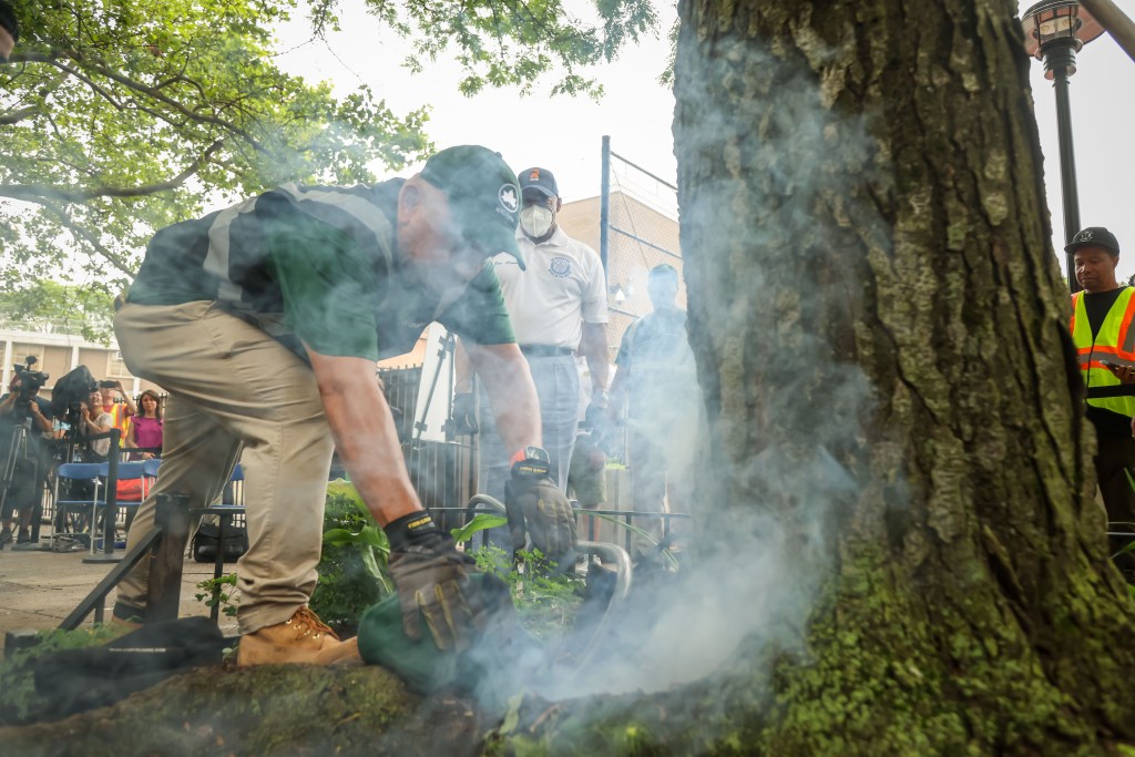 A worker fumigating a tree bed in NYC.